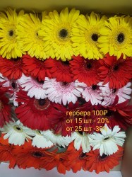 610cdbbb-1809-4b3e-96cd-60c255dc44a3