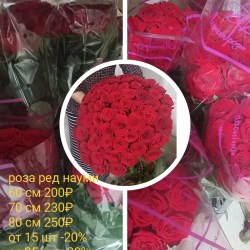 6a13cf40-9aa2-4d45-9a2c-f9179f3d3296